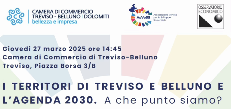 Treviso e Belluno: presentati i rapporti di posizionamento con il contributo scientifico di AsVeSS
