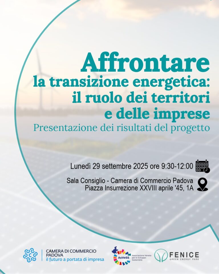 Affrontare la transizione energetica: il ruolo dei territori e delle imprese